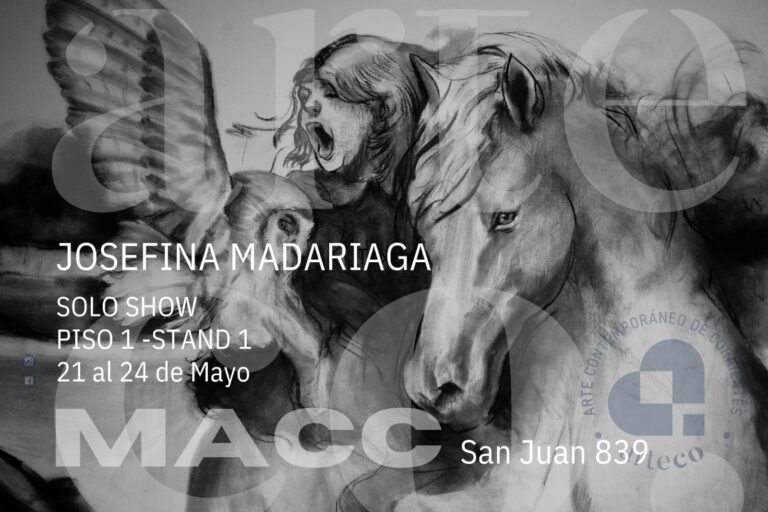 museo de arte contemporaneo de corrientes, josefina madariaga