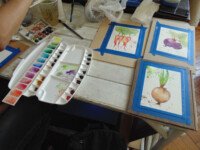 Clases de acuarela, Fotos taller, Josefina Madariaga