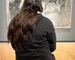 Josefina madariaga en ArteCo 2026 - MACC